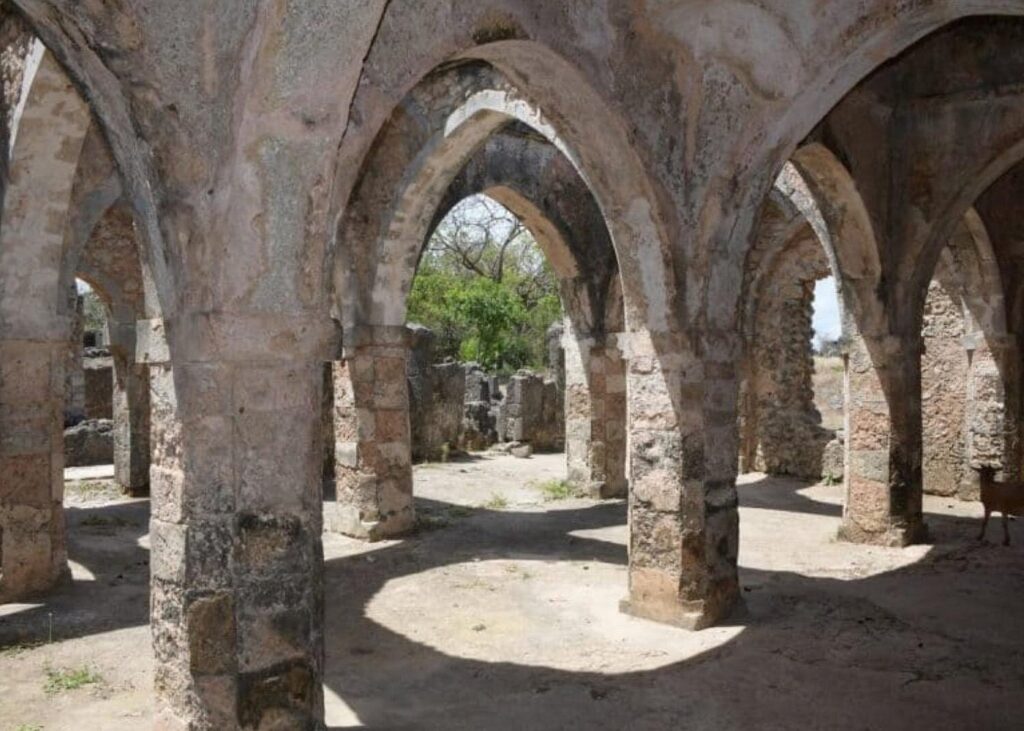 siwa8